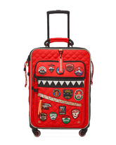 THE GLOBAL EXPEDITION JETSETTER CARRY-ON LUGGAGE